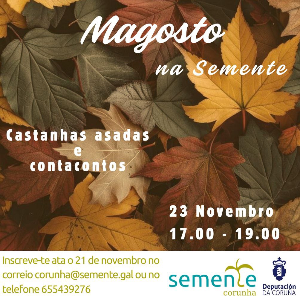 É tempo de castanhas!