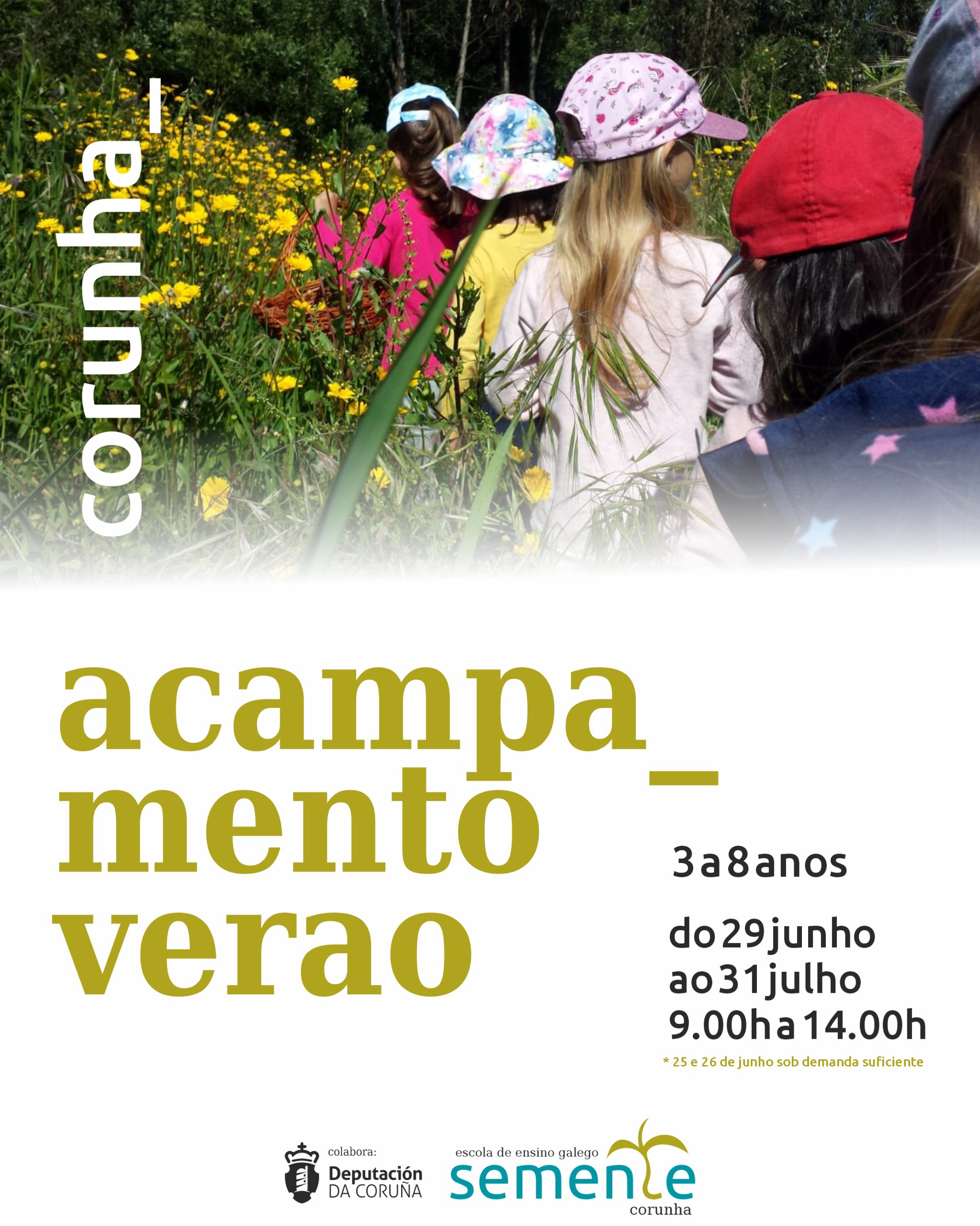 Acampamentos de verão 2026