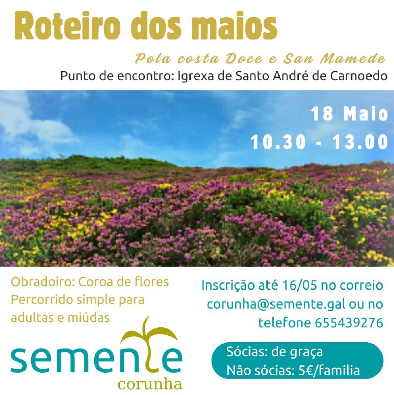 Roteiro dos maios